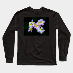 Plumeria Long Sleeve T-Shirt